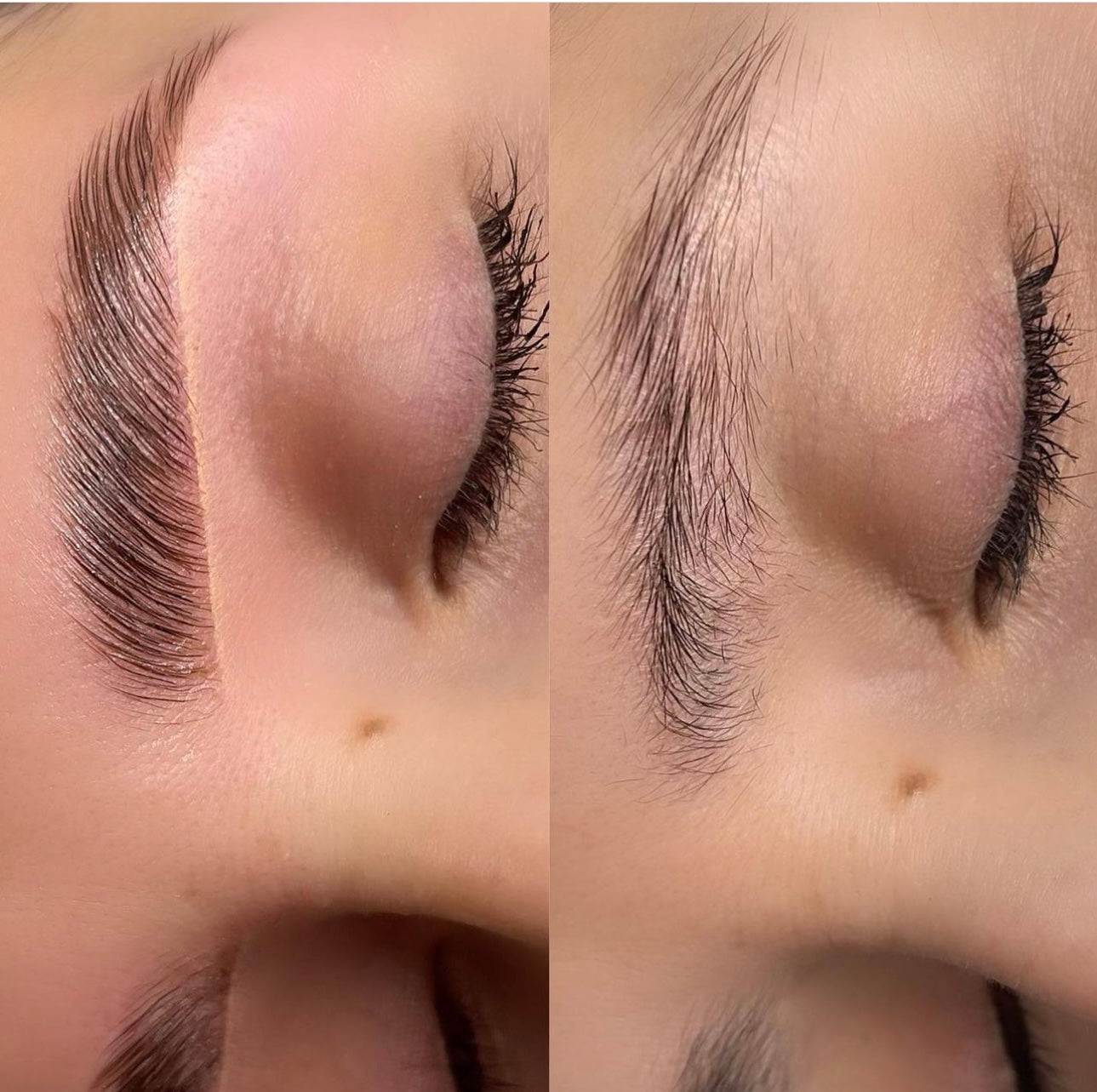 Brow Laminate & Tint course